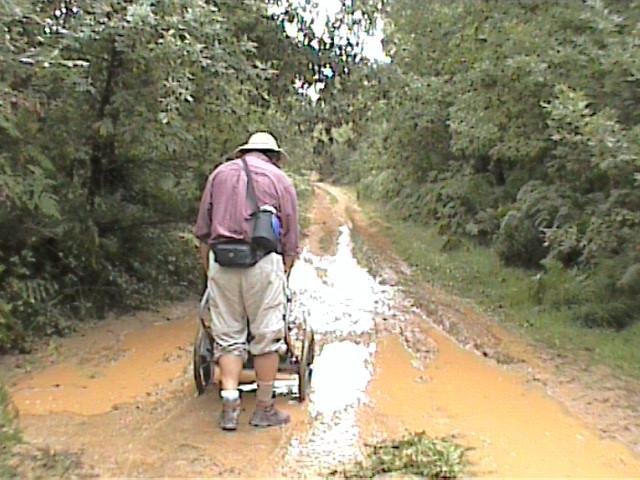 Muddy Path.jpg