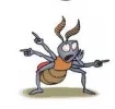 Bed bug cartoon.webp