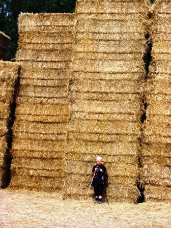 Sky scraper hay stacks.JPG