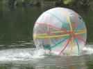 Water_walking_balls_water_balls_zorb_balls.jpg.webp