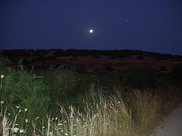 Castilla y Leon Atapuerca dawn (Small).JPG