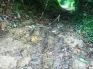 Muddy path.webp