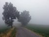 In-the-mist.jpg