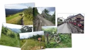 Route Collage.webp