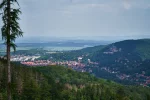 Harz_Juni_2021_kl_21.jpg