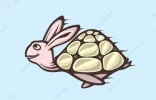 Tortoise and hare combo.webp