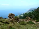 2012-09-08-165308_033-the ''Petrified Forest''-San Andres oddly shaped rocks,and ''A Barca de...webp