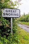 Great Snoring.jpg