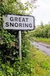 Great Snoring.webp