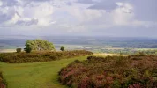 Scots Pines Memorial.webp