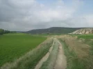 Towards Castrojeriz.webp