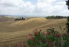 Tuscan-hills.jpg