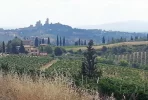 First-view-San-Gimignano.webp