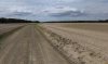 0326-sandy field before Villeguillo (Nava de la Asuncion-Villeguillo, 28.06.14).jpg