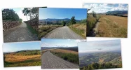 Route-collage.webp