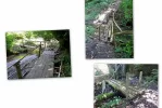 Bridge-Collage.webp