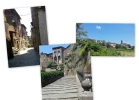 Village-Collage.webp