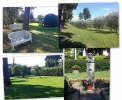 Garden-Collage.webp