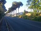 Road-to-Rome.webp