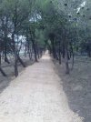 Path towards Logrono.jpg