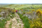 Aubrac Plateau St Jacques de Compostelle.webp