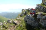 Pyrenees rest stop.webp