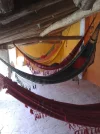 Villatuerta, albergue, hammocks .webp