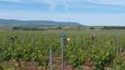 La rioja3.webp