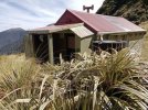 Te Araroa Trail NZ (2022). Tararua Ranges Park. Nichols Hut r..jpg