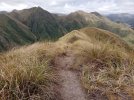 Te Araroa Trail (2022). Tararua Ranges Park. Main Range ridge walking .jpg