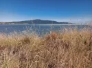 Te Araroa trail, NZ (2022). Kapiti Island. r jpg.jpg