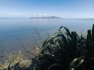 Kapiti Island. Te Araroa trail. Escarpment track, Paikakariki r.webp