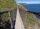 Swing bridge 1. escarpment track. Te Araroa trail NZ (2022) r.jpg