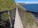 Swing bridge 1. escarpment track. Te Araroa trail NZ (2022) r.webp