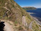 swing bridge 2. Escarpment track. Te Araroa trai NZ (2022) r.jpg