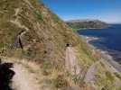 swing bridge 2. Escarpment track. Te Araroa trai NZ (2022) r.webp