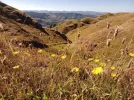 4 Te Araroa trail NZ (2022). view towards the Orongoronga Range r.jpg