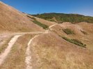 8a Te Araroa trail NZ (2022). Track up to Mt Kaukau r.jpg