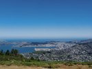 10 Te Araroa trail NZ (2022). Wellington city and Harbour viewed from Mt Kaukau r.jpg