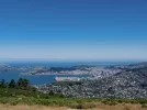 10 Te Araroa trail NZ (2022). Wellington city and Harbour viewed from Mt Kaukau r.jpg