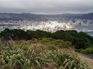 Te Araroa trail NZ (2022). View from Mt Victoria lookout, Wellington.jpg