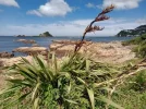 Te Araroa trail NZ (2022). End of the trail. Island Bay, Wellington r.jpg