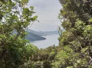 1 TA Trail NZ. Queen Charlotte Track. South Island. .jpg