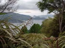 5 TA Trail NZ. Queen Charlotte Track. .jpg