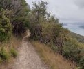 7 TA Trail NZ. Queen Charlotte Track..jpg