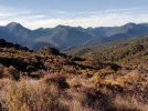 9 TA Trail NZ. View from Dun Mountain Saddle.jpg