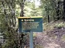 2 TA Trail NZ. direction Starveall hut. Richmond Ranges.jpg