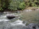 3 TA Trail NZ. Multiple Stream crossings. Richmond ranges.jpg