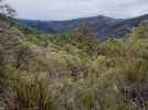 7 TA Trail NZ. Pyramid Rock. Richmond Ranges.jpg