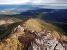 1 TA Trail NZ. View to Nelson from MT Starveall. Richmond Ranges.webp